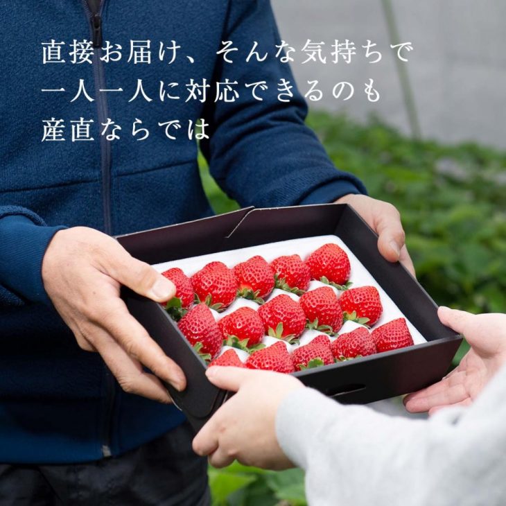 完熟で柔らかく、食べやすい苺